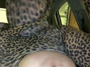 Leopard Encasement in Car