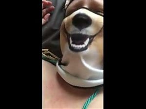 Pegged tits torture